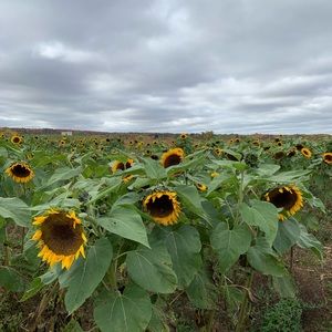 Meet your Posher, Makayla